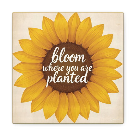Sunflower Canvas Wall Art, Bloom Where You Are Planted - Stretched Matte Canvas, 10×10" or 20×20"